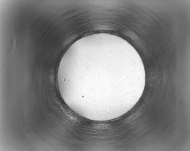 X0000074310833200609222358