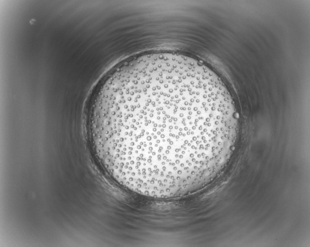 X0000074310835200609222358