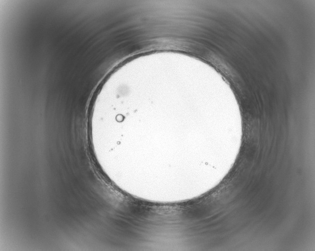 X0000074310836200609222358