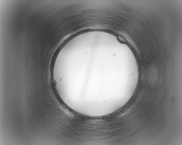 X0000074310837200609222358