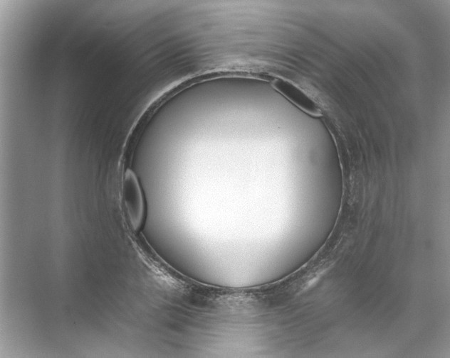 X0000074310838200609222358