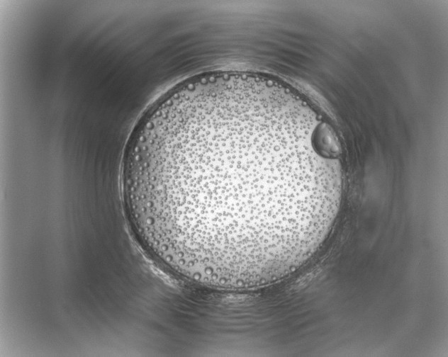 X0000074310839200609222358