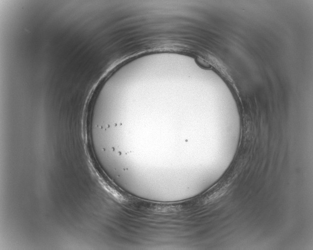 X0000074310843200609222358