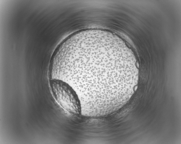 X0000074310847200609222359