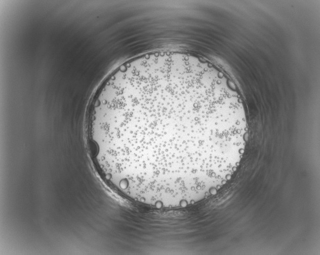 X0000074310851200609222359