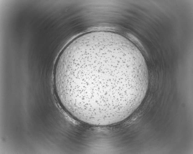 X0000074310852200609222359