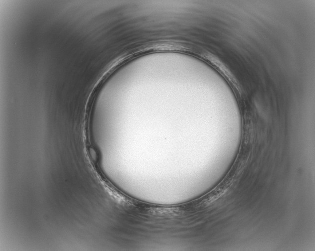 X0000074310853200609222359