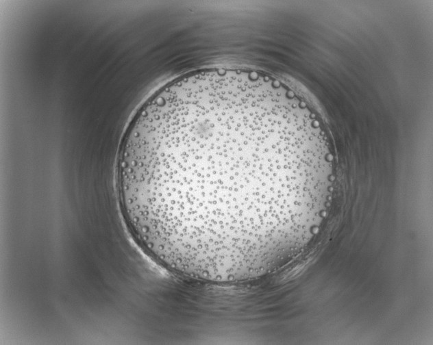 X0000074310855200609222359