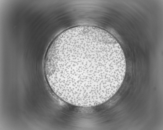 X0000074310856200609222359