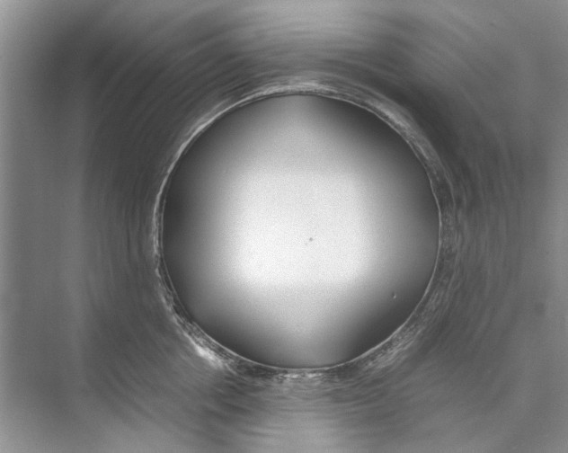 X0000074310858200609222359