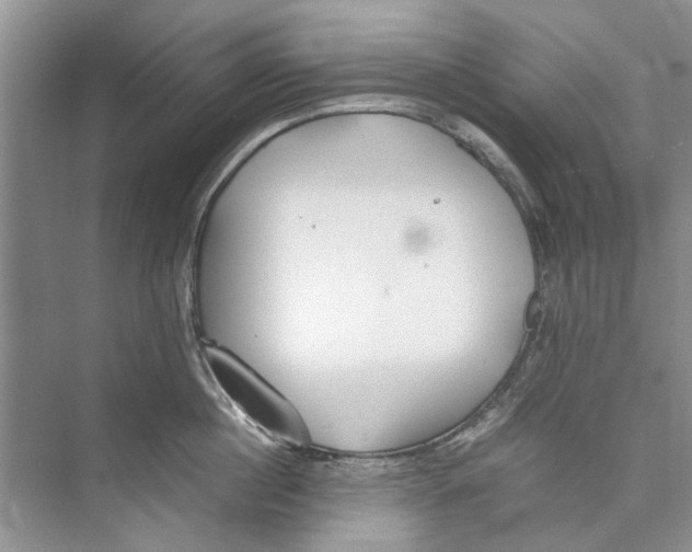 X0000074310860200609222359