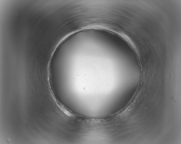 X0000074310862200609222359