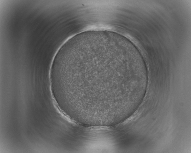 X0000074310864200609222359