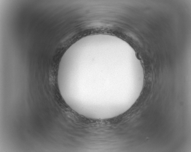 X0000074310869200609222358