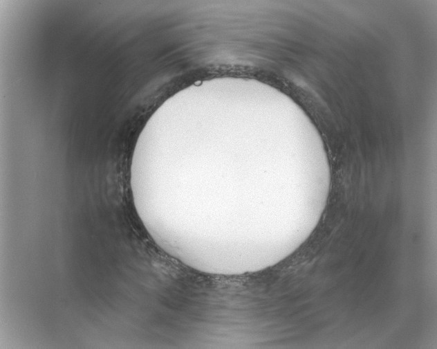 X0000074310870200609222358