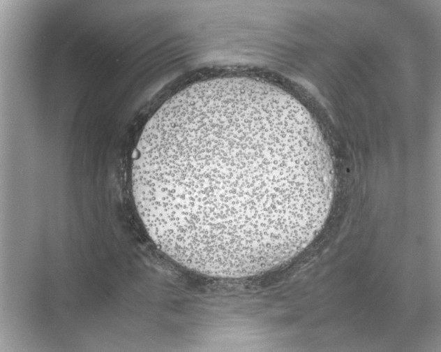 X0000074310871200609222358