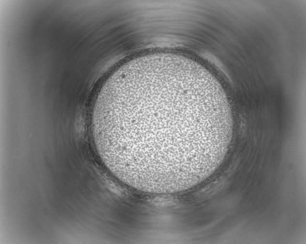 X0000074310874200609222358