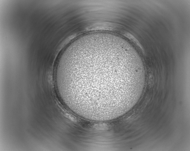 X0000074310882200609222358