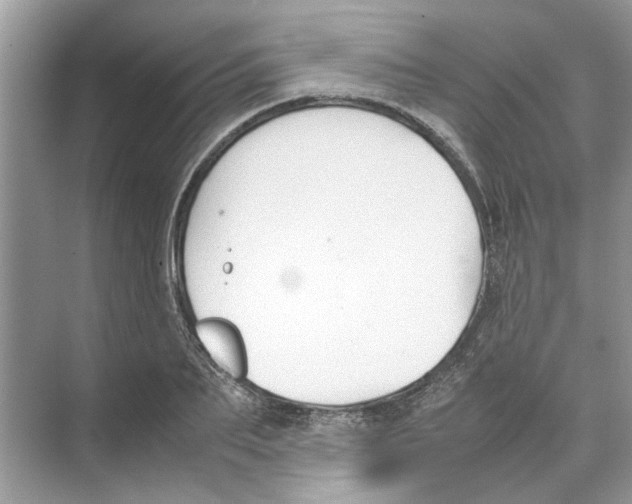 X0000074310887200609222358