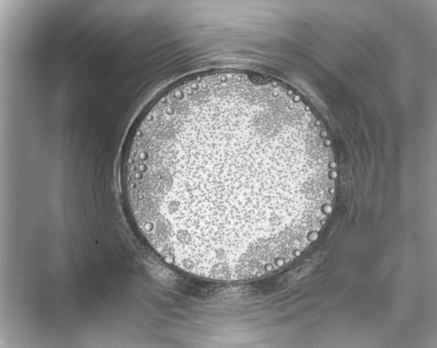 X0000074310891200609222358