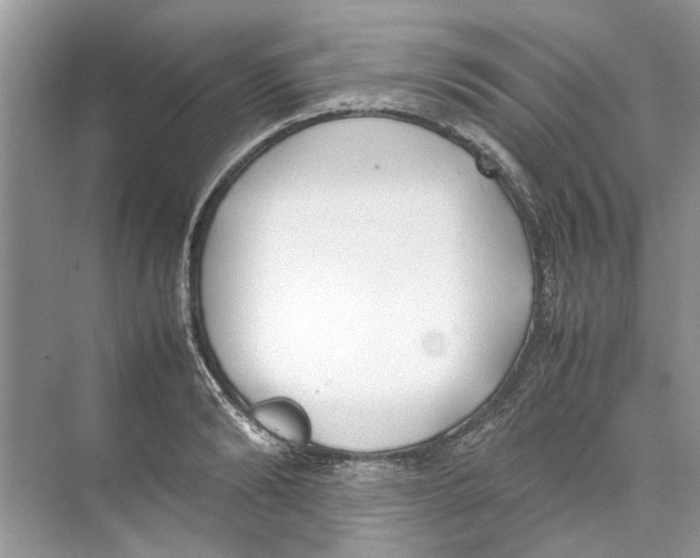 X0000074310894200609222358