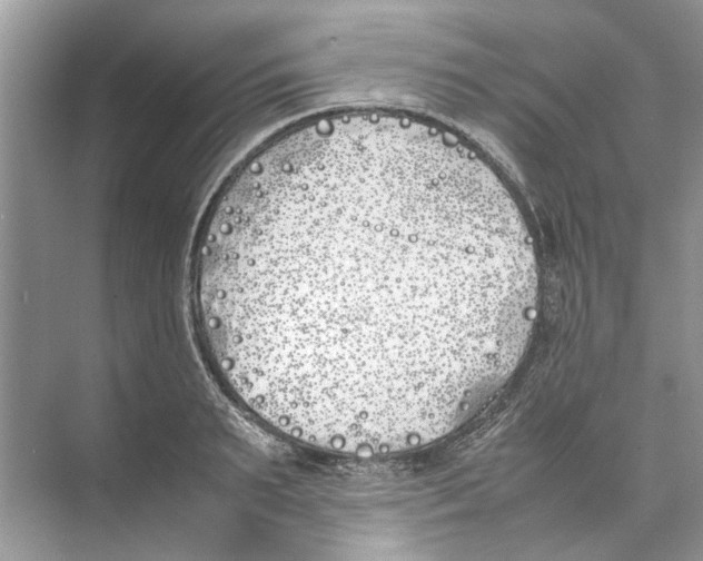 X0000074310895200609222358