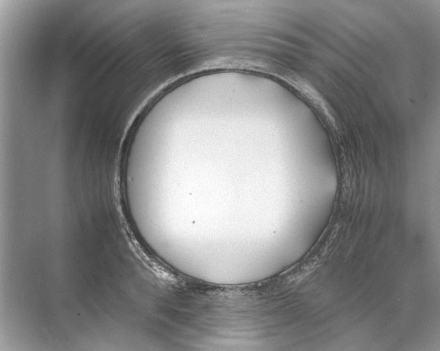 X0000074310896200609222357