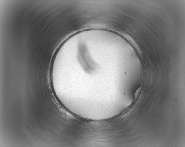 X0000074310904200609222357