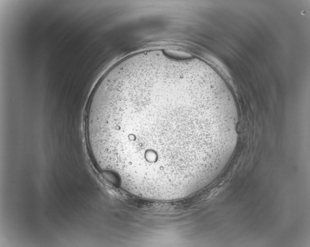 X0000074310907200609222357