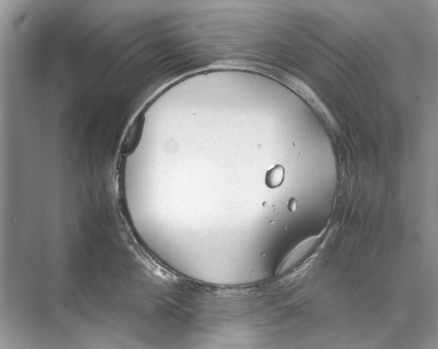 X0000074310908200609222357