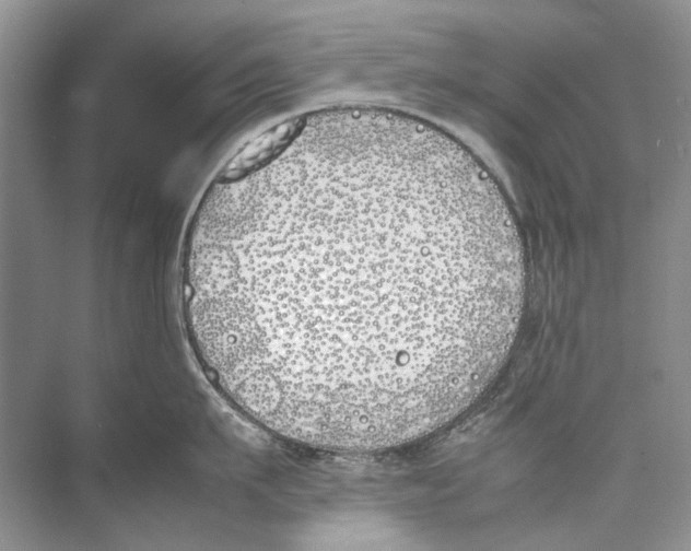 X0000074310911200609222357