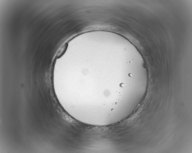 X0000074310912200609222357