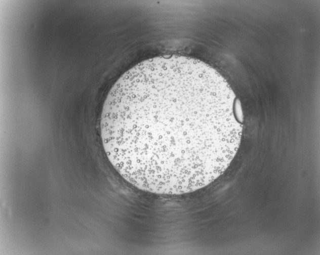 X0000074310913200609222356