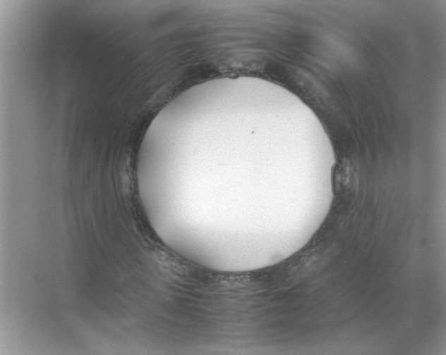 X0000074310915200609222356