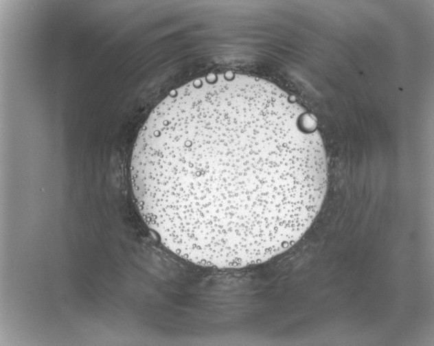 X0000074310917200609222356