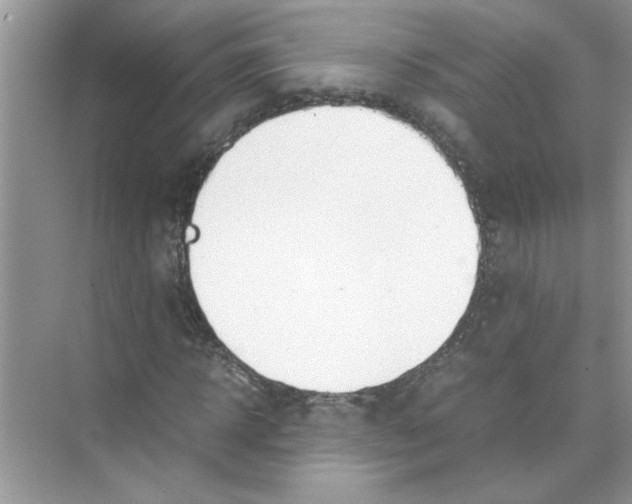 X0000074310918200609222357