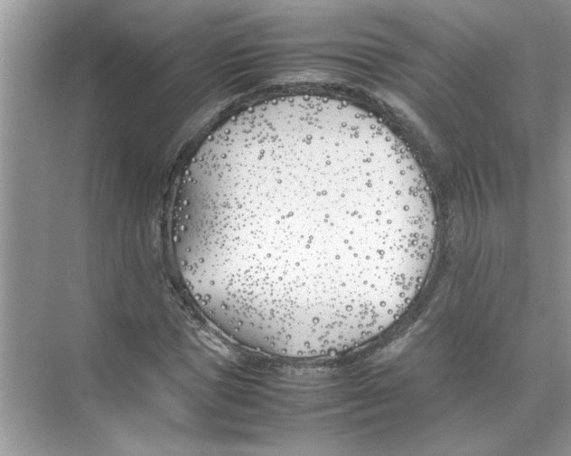 X0000074310921200609222357