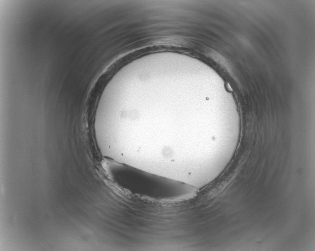 X0000074310923200609222357