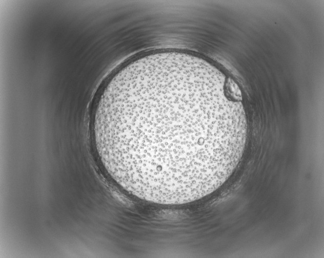 X0000074310933200609222357