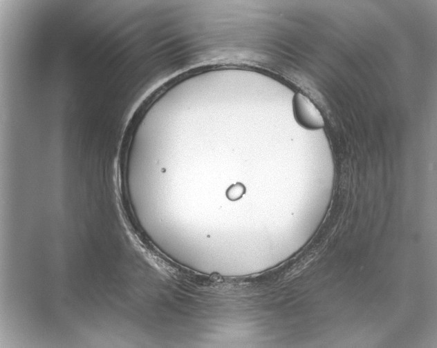 X0000074310936200609222357