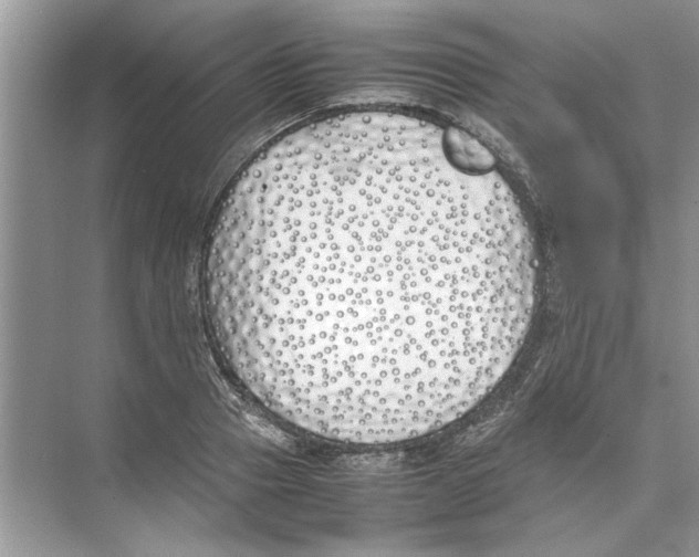 X0000074310937200609222357