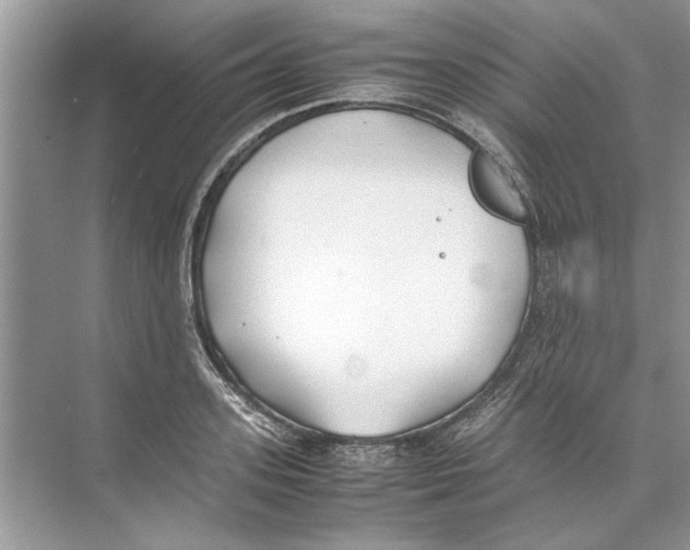 X0000074310939200609222357