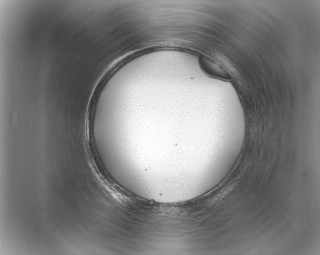 X0000074310940200609222357