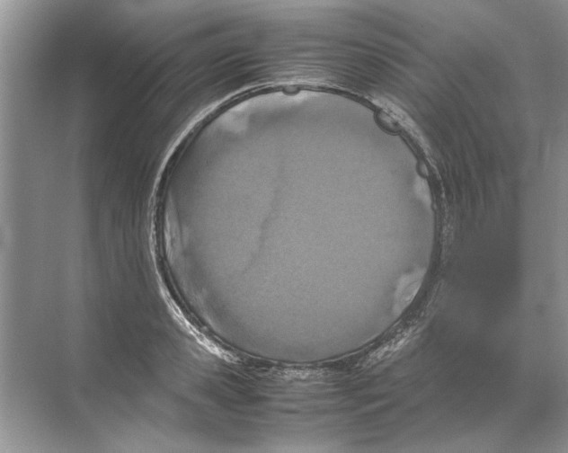 X0000074310941200609222357