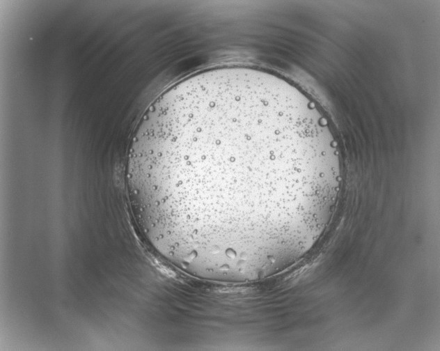 X0000074310953200609222357