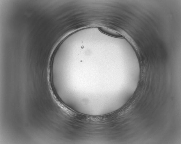 X0000074310955200609222357