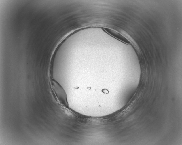 X0000074310956200609222357