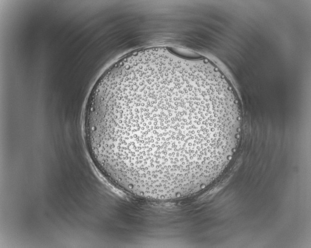 X0000074310957200609222357