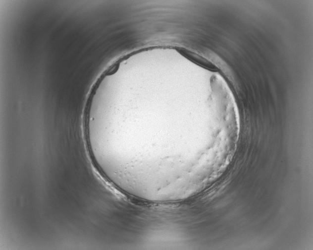 X0000074310958200609222357