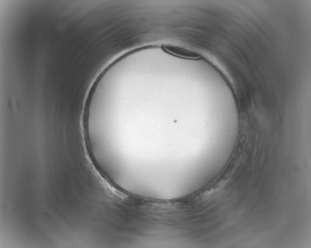 X0000074310959200609222357